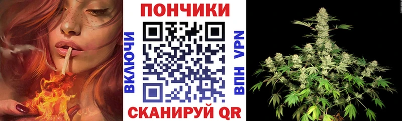 как найти закладки  Вихоревка  Канабис семена 